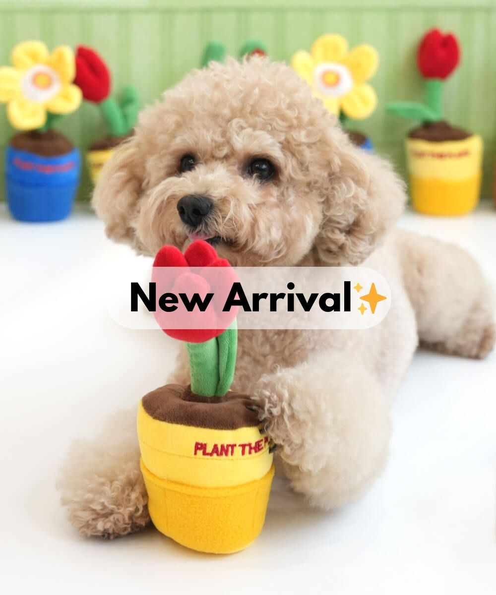 最新商品 New arrival